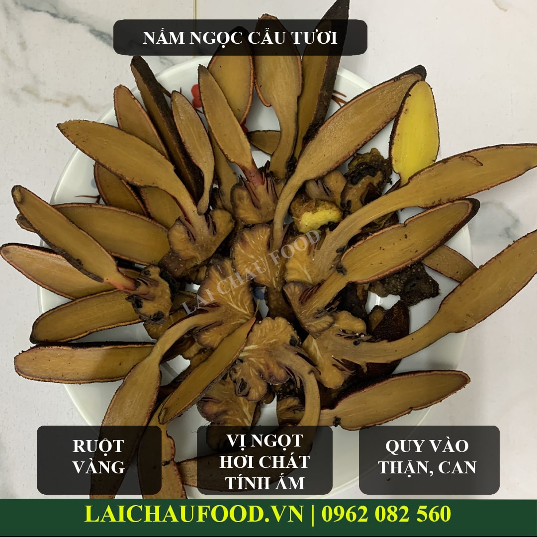 Nấm ngọc cẩu tươi