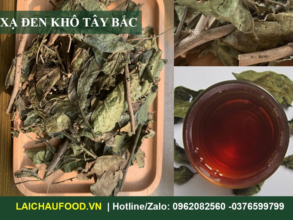 Công dụng xạ đen