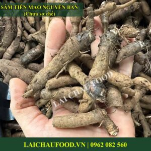 Thảo mộc sâm tiên mao – Đặc sản sâm Tây Bắc – 3 Kg tươi nguyên bản