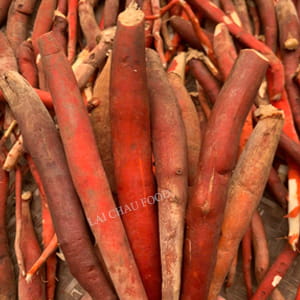 Sâm cau đỏ Lai Châu – Tây Bắc