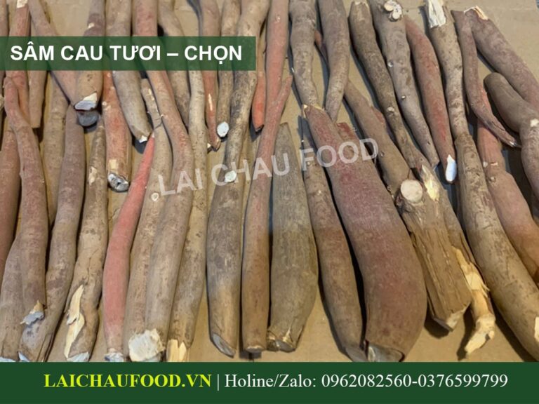 Sâm Cau Đỏ Tây Bắc - Đặc Sản Sâm Việt Nam