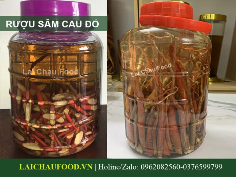 Sâm Cau Đỏ Tây Bắc - Đặc Sản Sâm Việt Nam