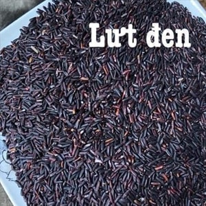 Gạo Lứt Đen Tây Bắc – Đặc Sản Của Núi Rừng Lai Châu