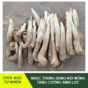 Nhục Thung Dung Nội Mông – Tăng Cường Sinh Lý