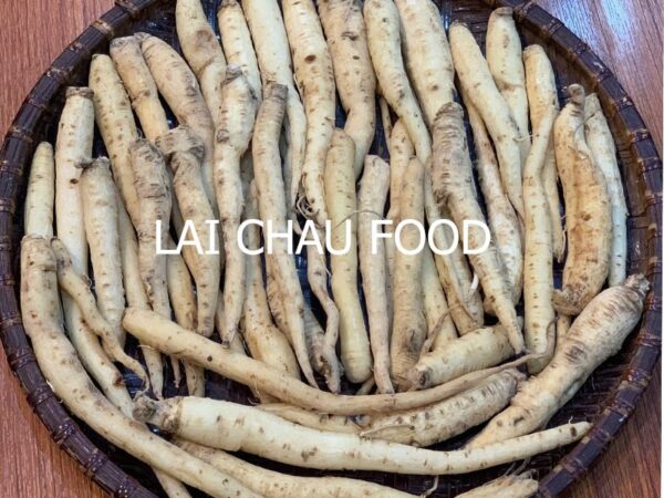 Đặc Sản Đảng Sâm Lai Châu - Tây Bắc