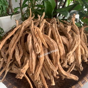 Đẳng sâm Tây Bắc – Sâm quý Lai Châu
