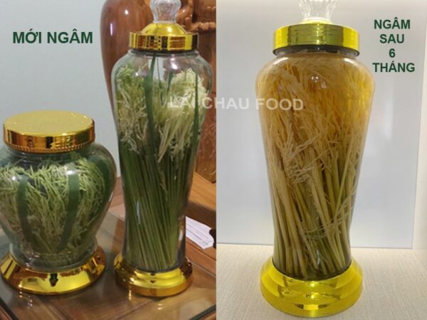 Đòng Đòng Nếp Nương Tây Bắc
