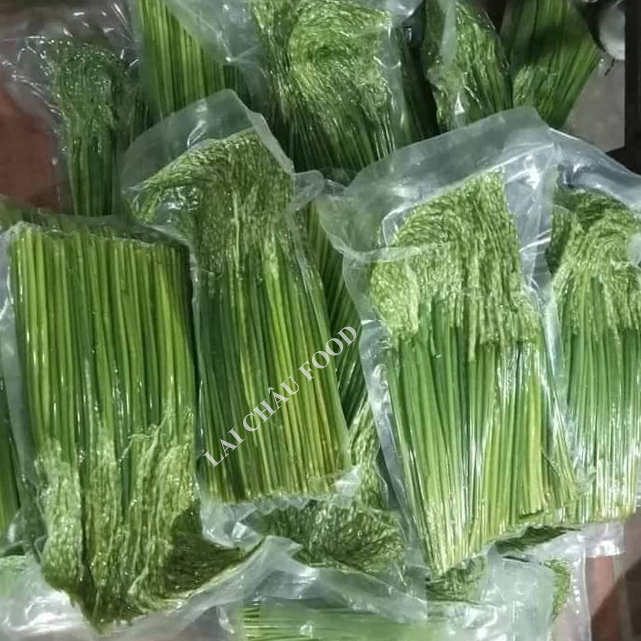 Đóng gói đòng đòng hút chân không