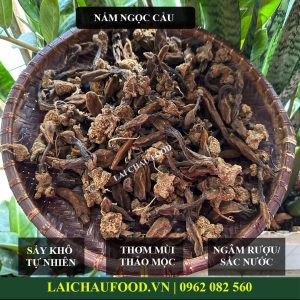 Nấm ngọc cẩu Tây Bắc – Thảo mộc ôn dương – 1 KG NẤM KHÔ