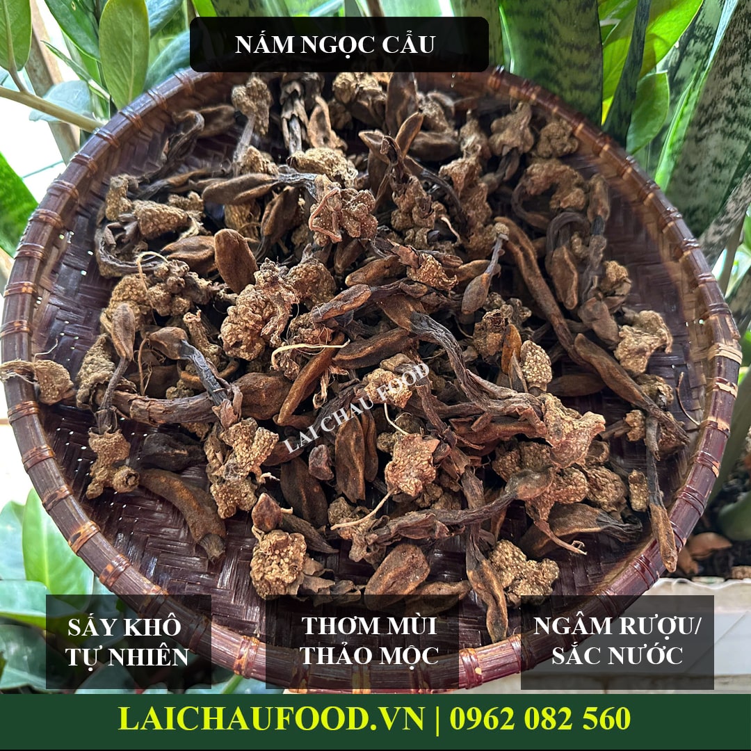 Nấm ngọc cẩu Tây Bắc - Thảo mộc ôn dương