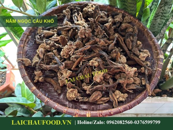 Nấm Ngọc Cẩu Tây Bắc - Tinh Hoa Núi Rừng