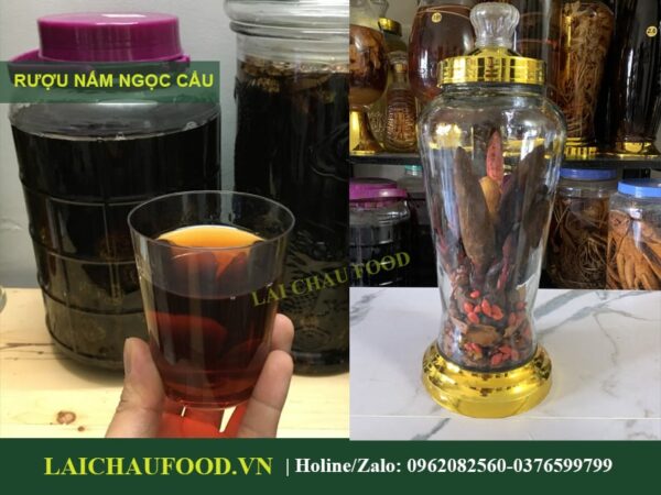 Nấm Ngọc Cẩu Tây Bắc - Tinh Hoa Núi Rừng