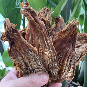 Măng rừng Tây Bắc – Đặc sản Lai Châu ngon sạch từ núi rừng