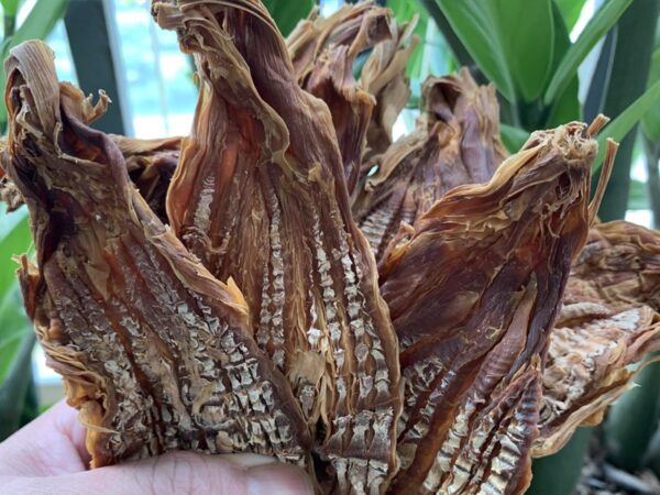 Combo Măng,Miến, Mộc Nhĩ, Nấm Hương