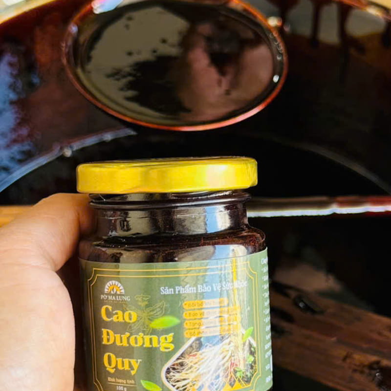 Lọ cao đương quy 100g - Lai Châu Food