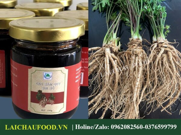 Đặc Sản Cao Sâm Quy Lai Châu -Tây Bắc