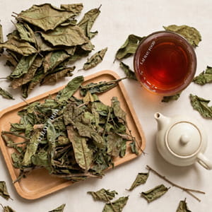 Cây xạ đen sấy khô Lai Châu Tây Bắc