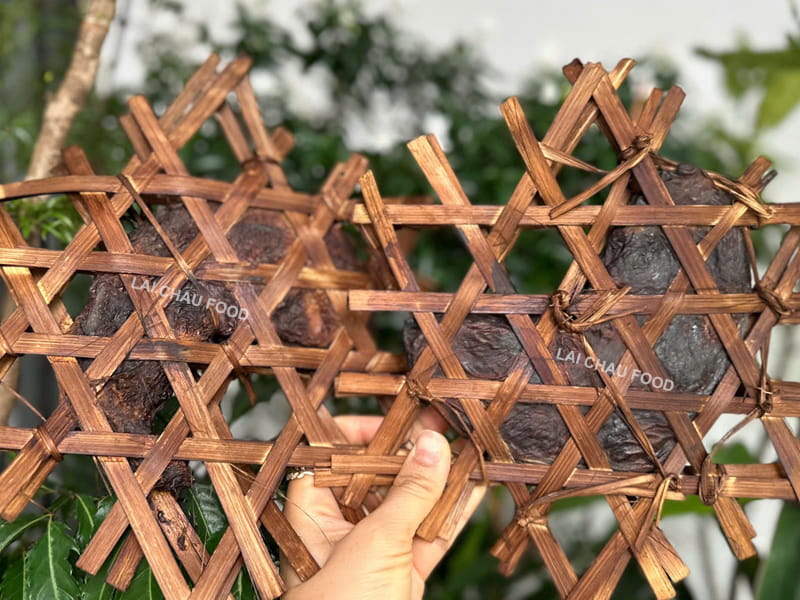 Dạ dày nhím rừng