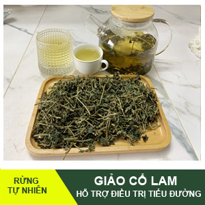 Giảo Cổ Lam Tây Bắc- Thảo dược quý tự nhiên