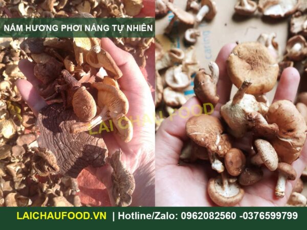 Nấm Hương Khô Lai Châu - Đặc Sản Từ Núi Rừng Tây Bắc