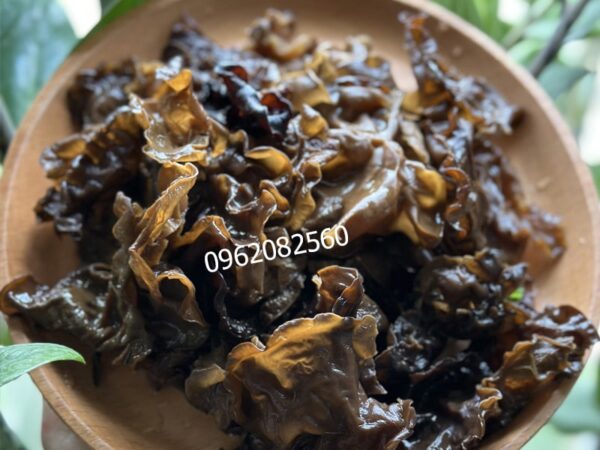 Mộc Nhĩ Lai Châu Tây Bắc