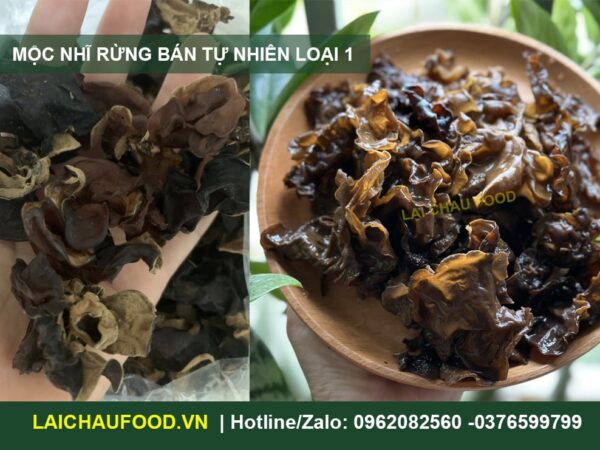 Mộc Nhĩ Lai Châu - Đặc Sản Núi Rừng Tây Bắc
