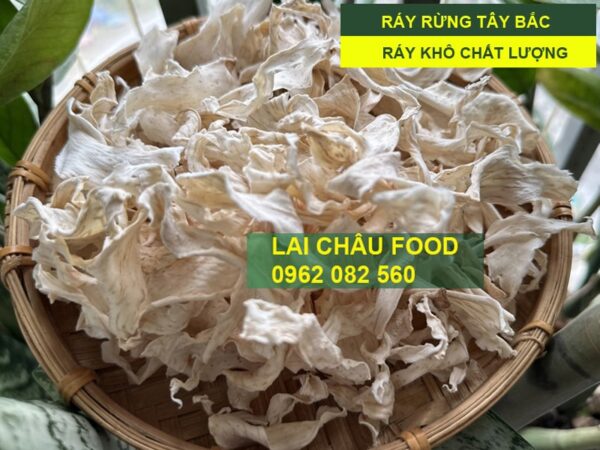 Củ Ráy Rừng Tây Bắc -Thảo Dược Cho Xương Khớp