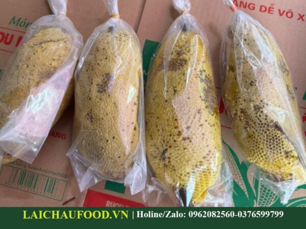 Tổ Ong Ruồi Rừng Lai Châu - Đặc Sản Tây Bắc