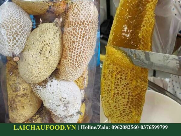 Tổ Ong Ruồi Rừng Lai Châu - Đặc Sản Tây Bắc