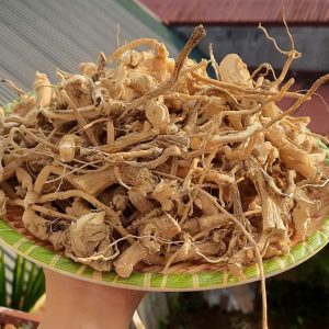 Sâm xuyên đá Lai Châu Tây Bắc – 1 kg khô