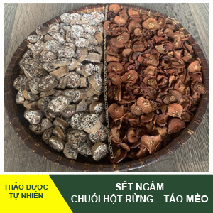 Combo Chuối hột và Táo mèo -Phổ thông mà đậm vị