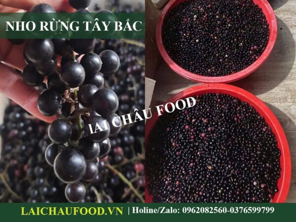 Nho Rừng Tây Bắc - Ngâm Rượu Tuyệt Ngon