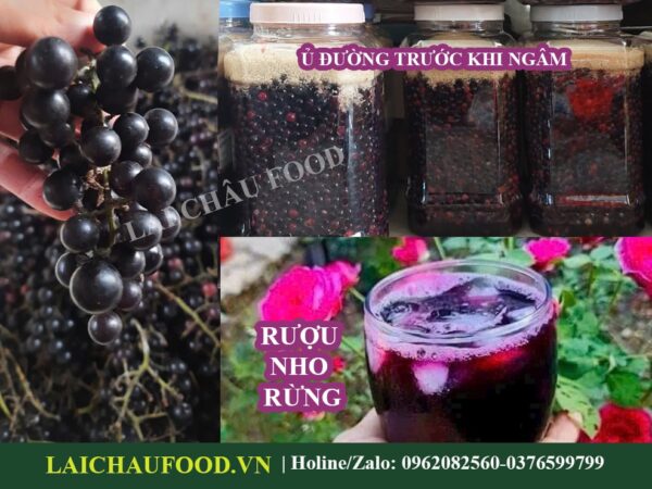 Nho Rừng Tây Bắc - Ngâm Rượu Tuyệt Ngon