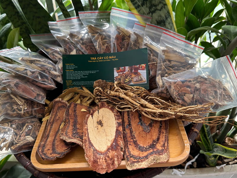 Set trà cỏ máu, đương quy, cam thảo