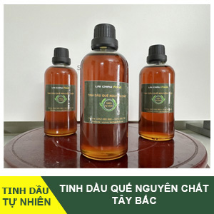 Tinh Dầu Quế Nguyên Chất Tây Bắc