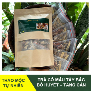 Combo Trà Cỏ Máu - Bổ Huyết, Tăng Cân