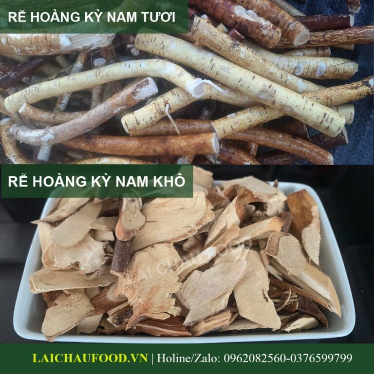 Rễ Hoàng Kỳ Nam Tây Bắc Loại 5 Lá