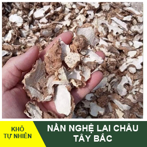 Nần Nghệ Tây Bắc – Hỗ trợ bảo vệ gan