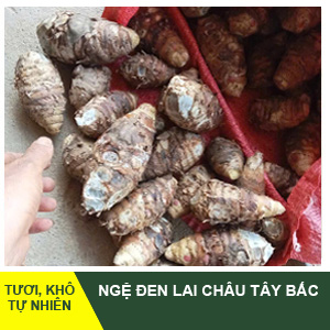 Nghệ Đen Lai Châu Tây Bắc