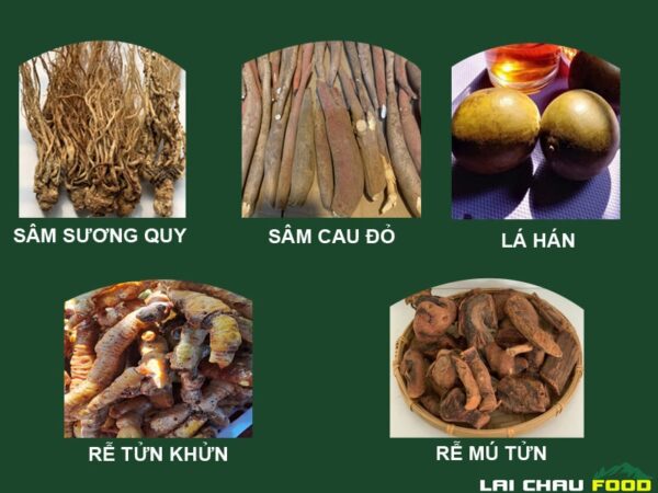 Combo 5 Vị Thảo Dược Ngâm Rượu Tự Nhiên