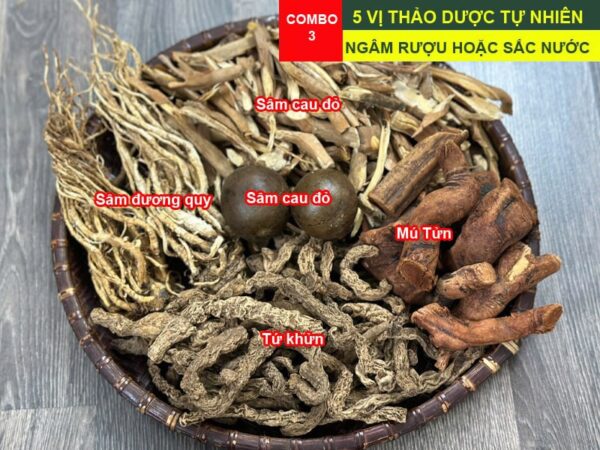 Combo 5 Vị Thảo Dược Ngâm Rượu Tốt Cho Nam Giới