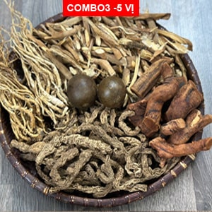 Combo 5 Vị Thảo Dược Ngâm Rượu Tốt Cho Nam Giới