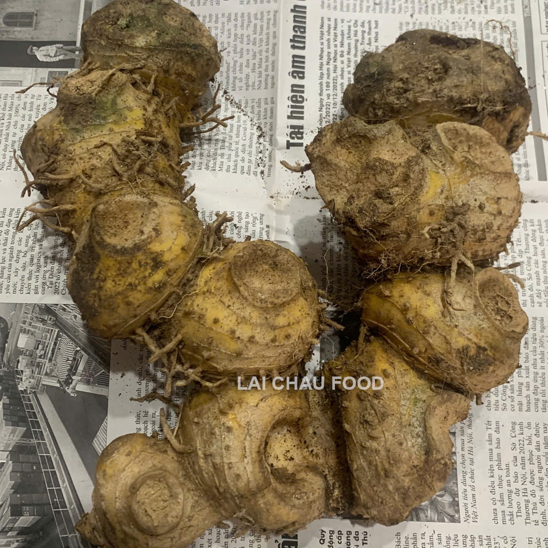 Củ hoàng tinh tươi - Lai Châu Food
