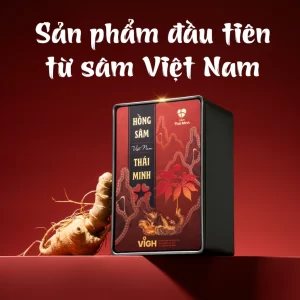 Sâm Lai Châu