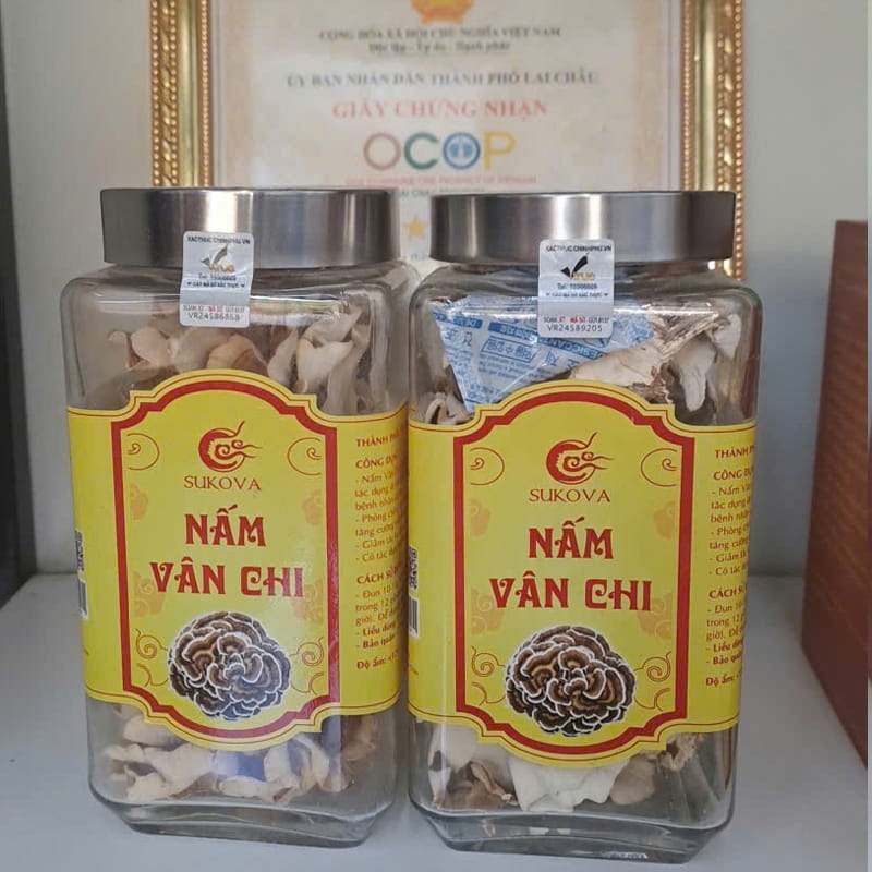 Nấm Vân Chi Sukova Lai Châu