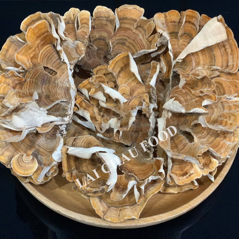 Nấm Vân Chi Oganic