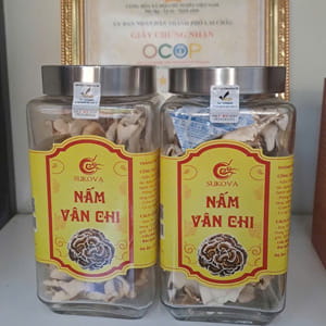 Nấm Vân Chi Organic Lai Châu – Hộp 100g