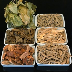 Combo 6 vị thảo mộc ba kích, ngọc cẩu, tứn khửn, mú từ, dâm dương, sâm cau