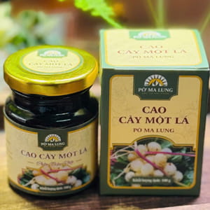 Cao cây một lá Lai Châu – Tây Bắc