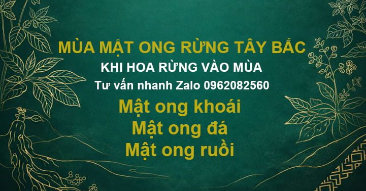 Silde-mat-ong-rung-lai-chau-food